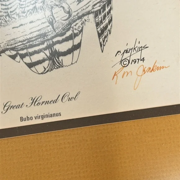 Vintage Ron M. Jenkins signed print of Great Horned Owl. Dated 1974. Matted - Picture 2 of 12